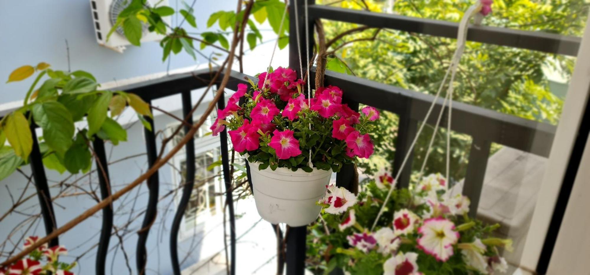 Spring Light Home Ho-Chi-Minh-Stadt Exterior foto